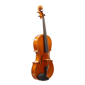 Alessandro Ciciliati Viola Ferrara 2008 - 16 1/4" Length of Back